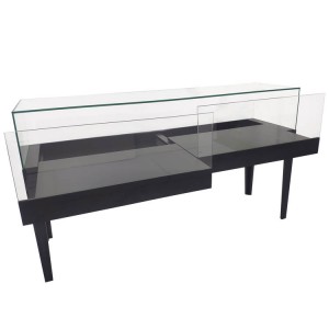 Display case glass for jewelry,tray with lockable door | OYE