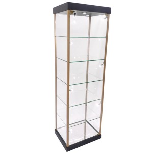 Display case with glass doors,fireproof with lock and golden hinge | OYE