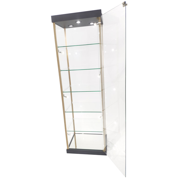 China Display case with glass doors,fireproof with lock and golden