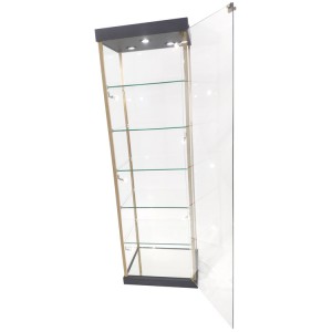 https://www.oyeshowcase.com/display-case-with-glass-doorsfireproof-with-lock-and-golden-hinge-oye-product/